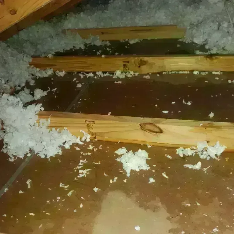 Attic Water Damage in Belmont County, OH