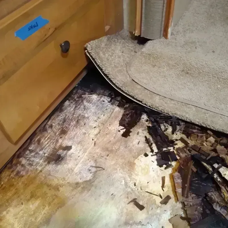 Best Wood Floor Water Damage Service in Belmont County, OH